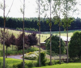 Traquebois