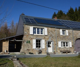 Spacious Holiday Home in Viroinval near forest